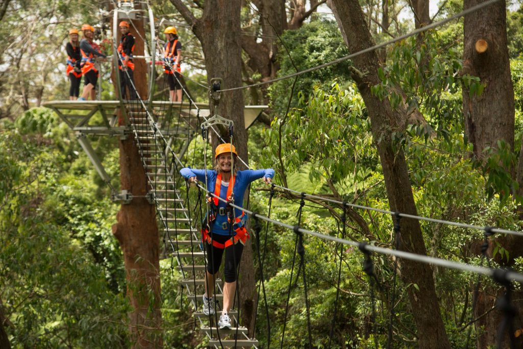 Zipline at Illawarra Fly Destination Wollongong