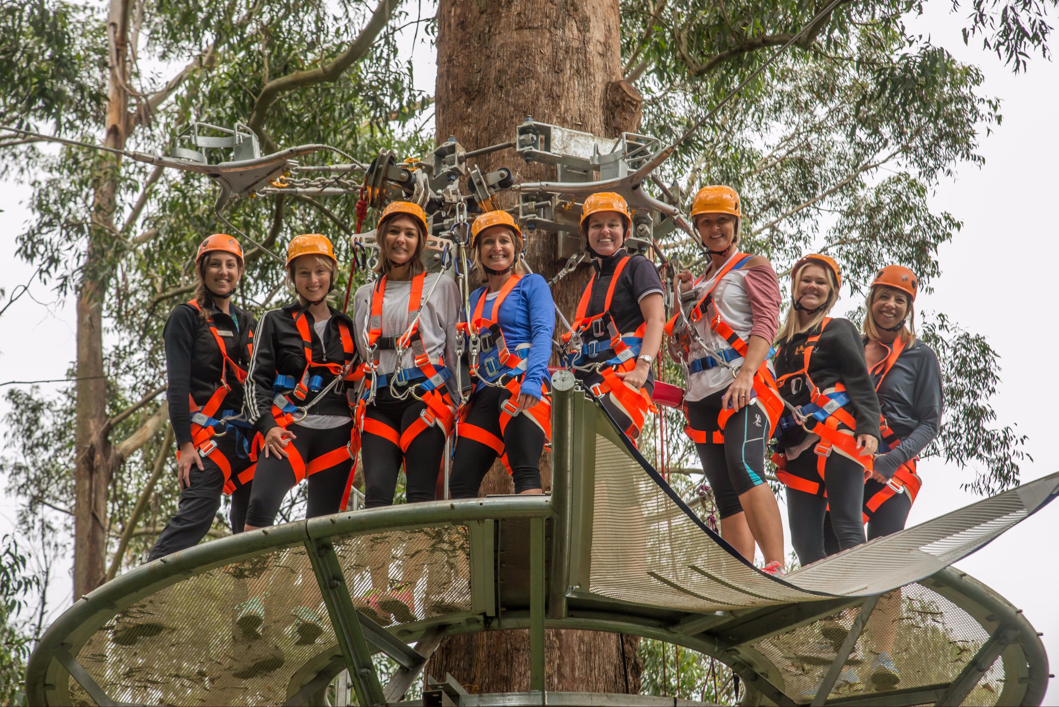 Zipline at Illawarra Fly Destination Wollongong