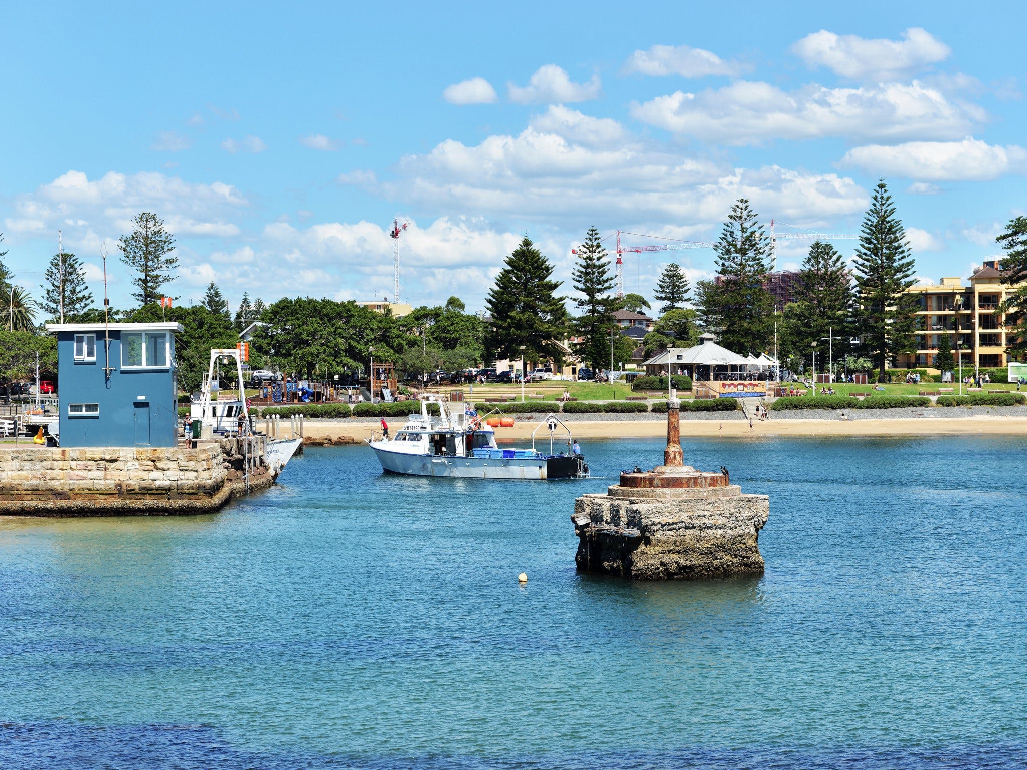 Best Of Wollongong: News & Features - 3z3vty8