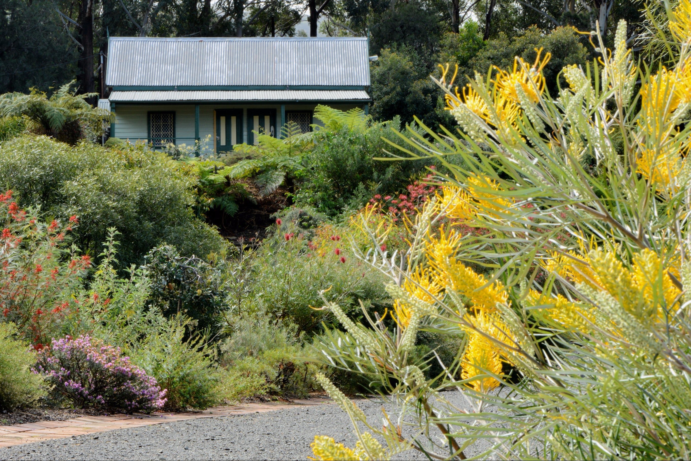 Illawarra Grevillea Park Destination Wollongong