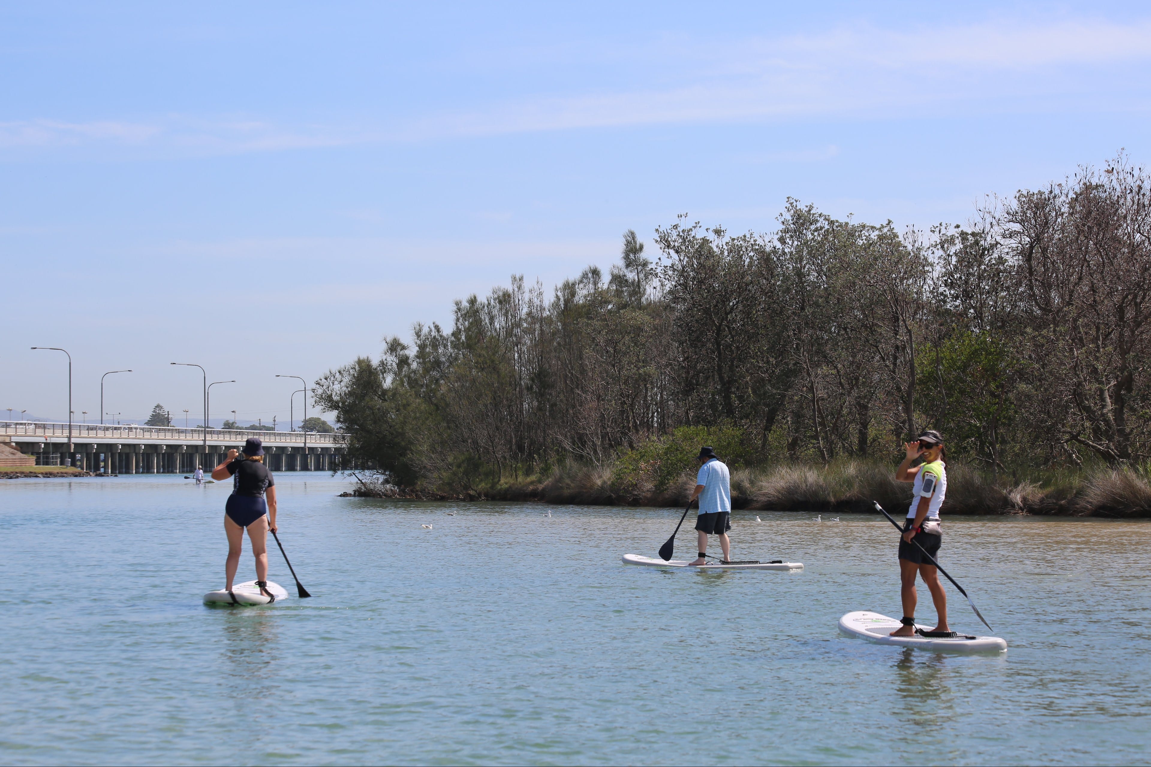 Stand Up Paddle Boarding Shellharbour Destination Wollongong