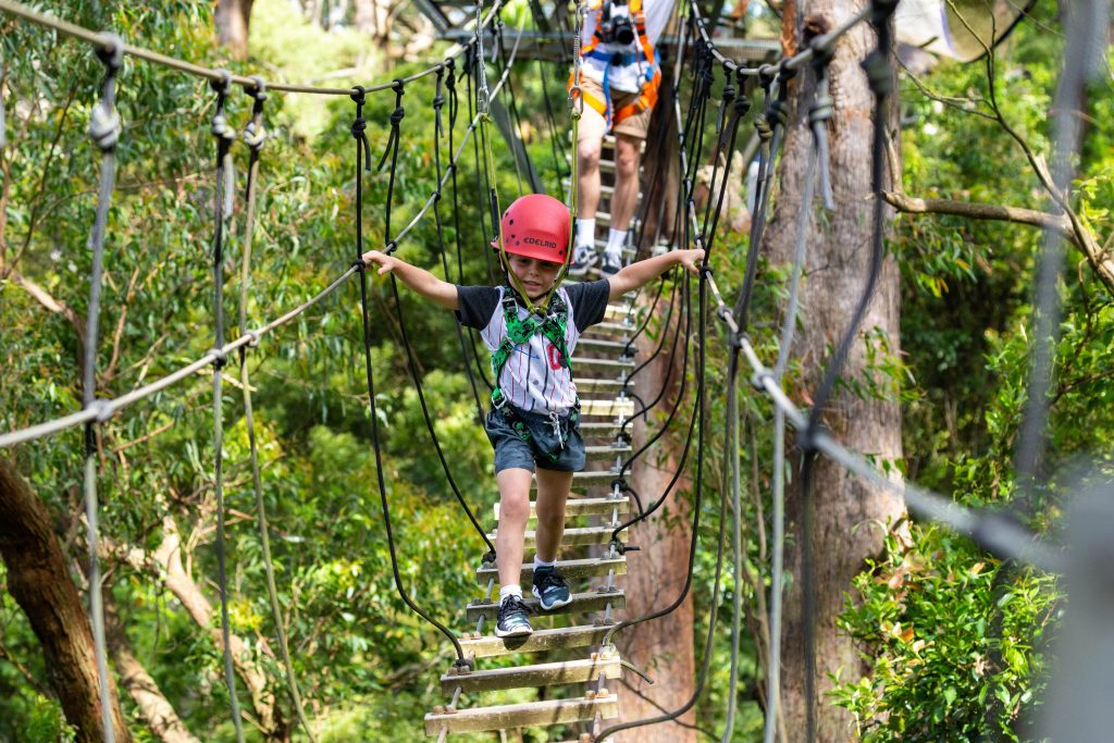 Zipline at Illawarra Fly Destination Wollongong