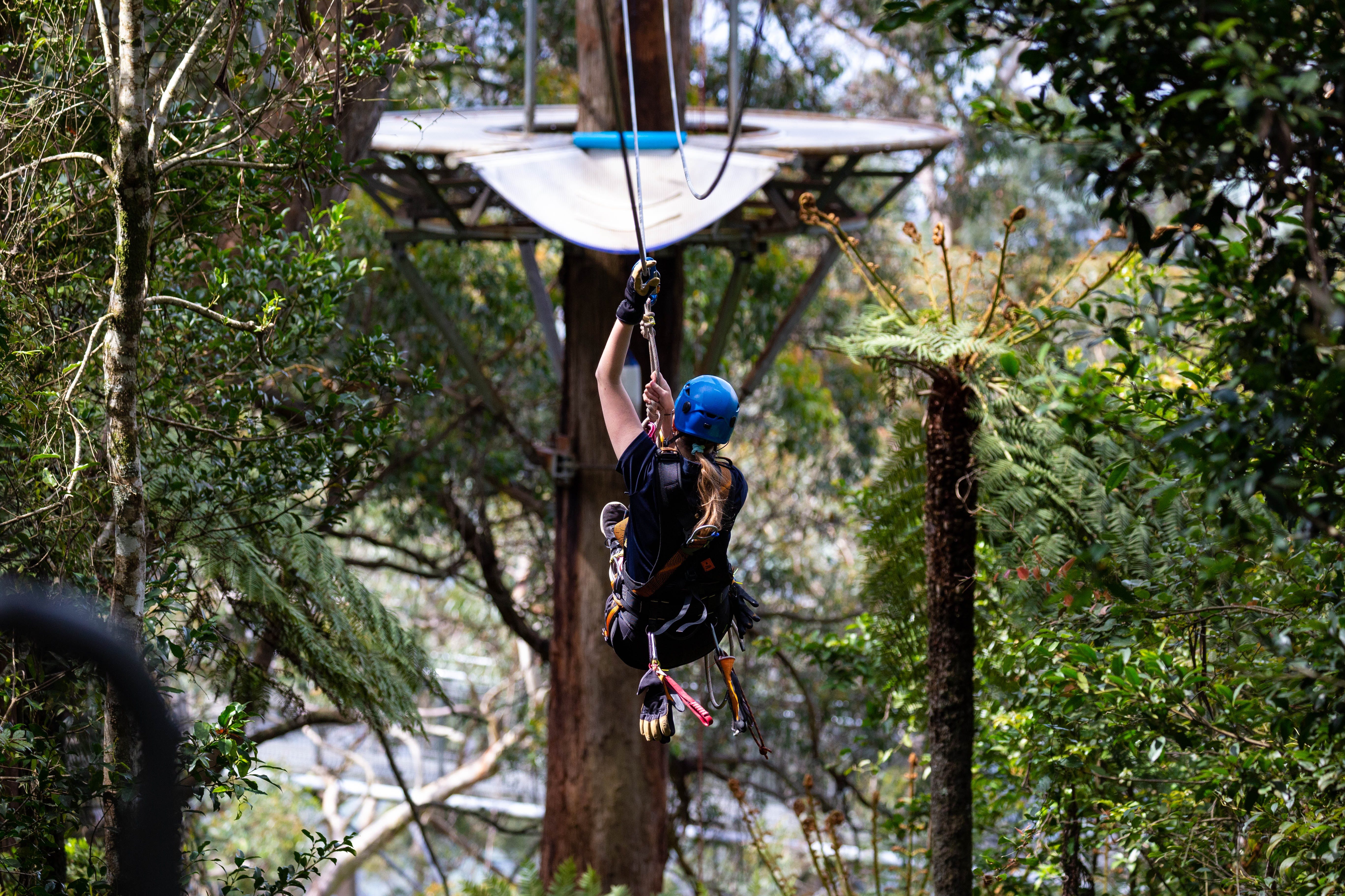 Illawarra Fly Treetop Adventures Destination Wollongong