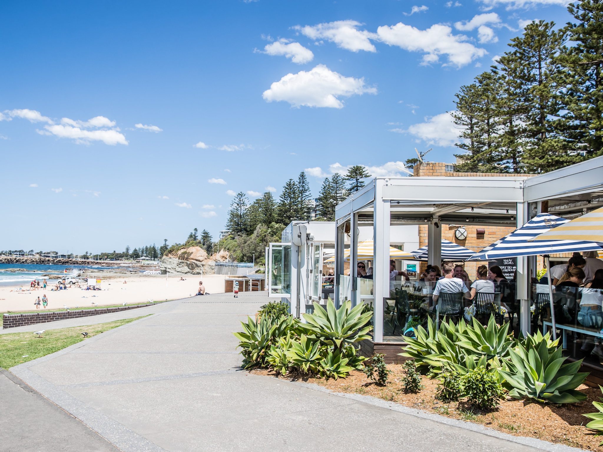 Best Of Wollongong: News & Features - 7lnk6we