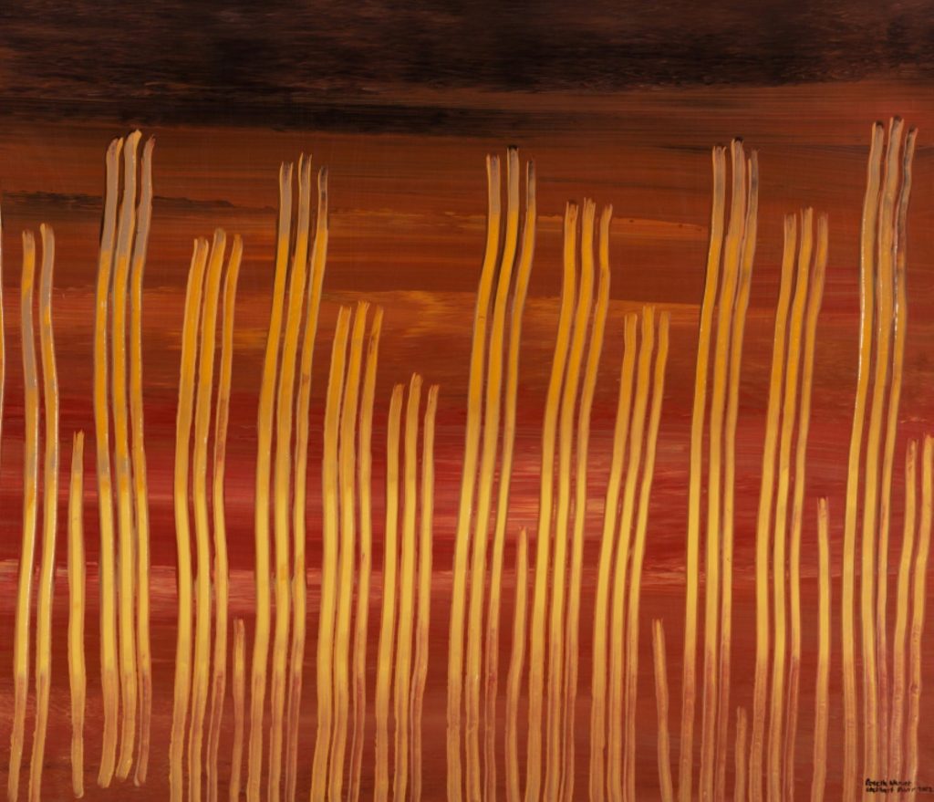 Wollongong Art Gallery Destination Wollongong