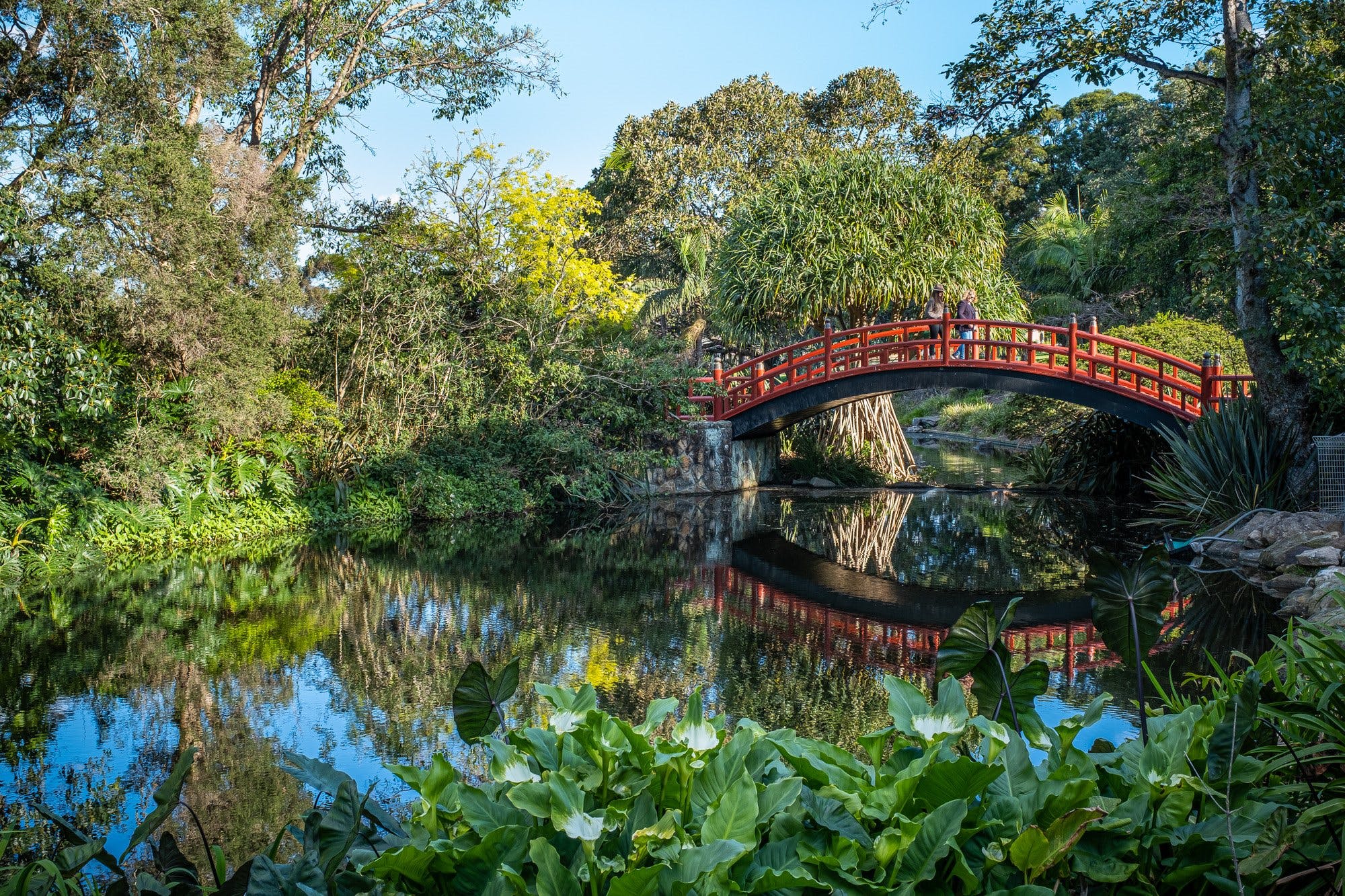 Botanic Garden, Wollongong Destination Wollongong