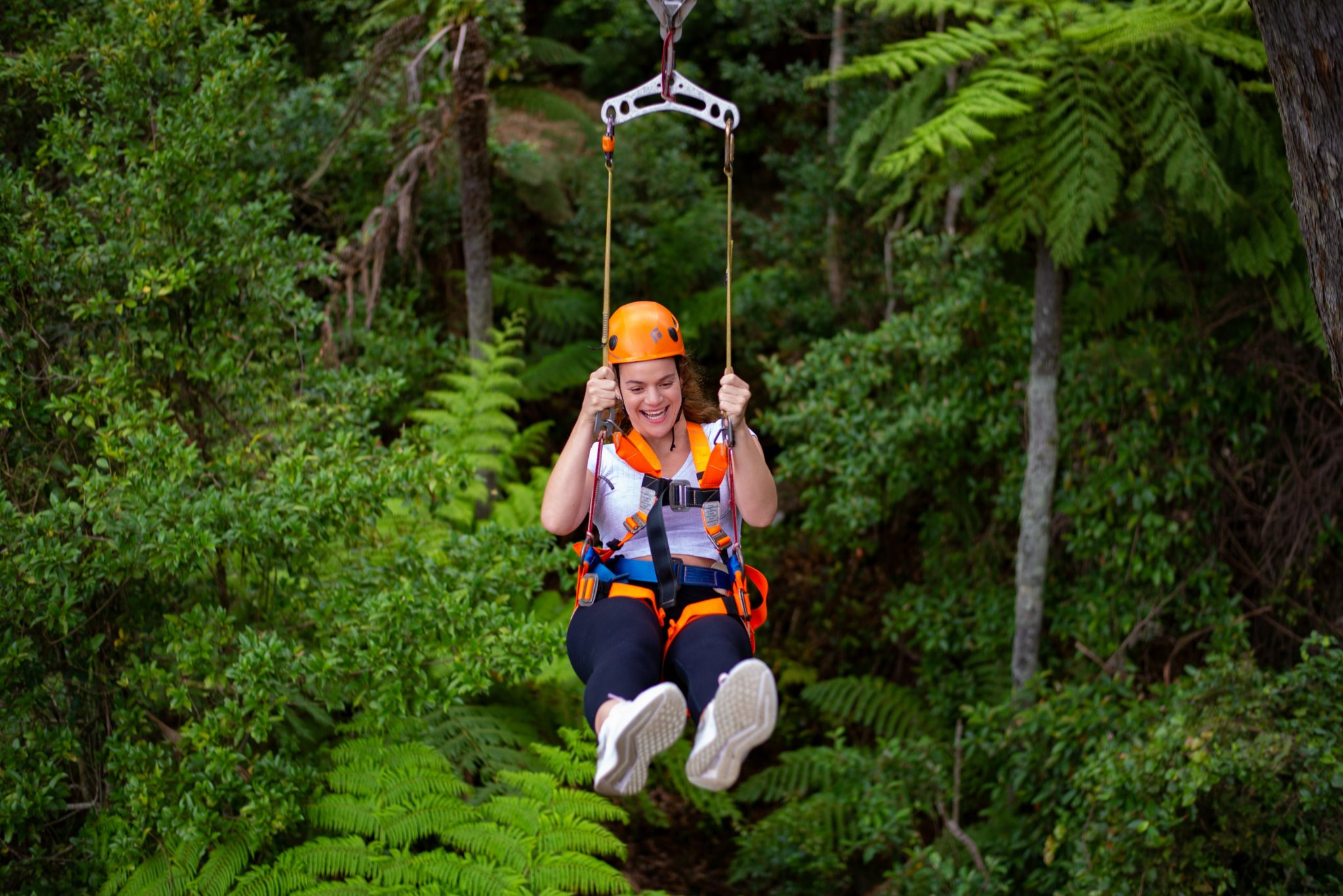 Illawarra Fly Treetop Adventures Destination Wollongong